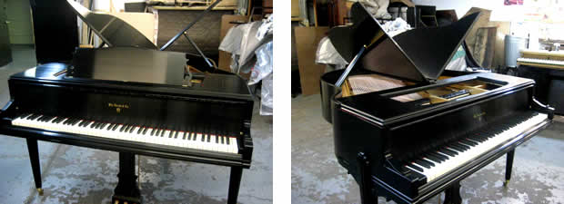 Beautiful Knabe Butterfly Baby Grand